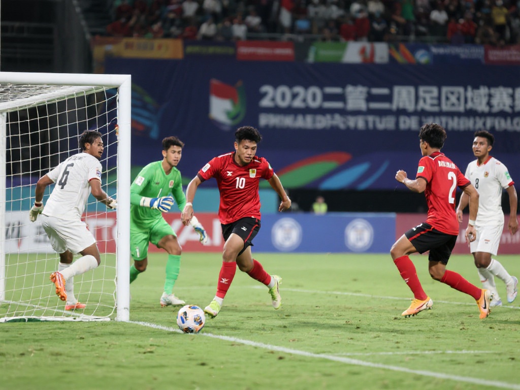 仅增加了观 仅增加了观